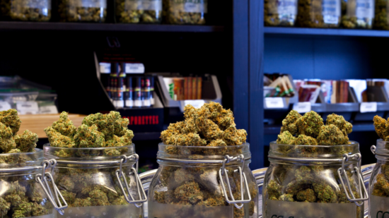 Cannabis Image (4)