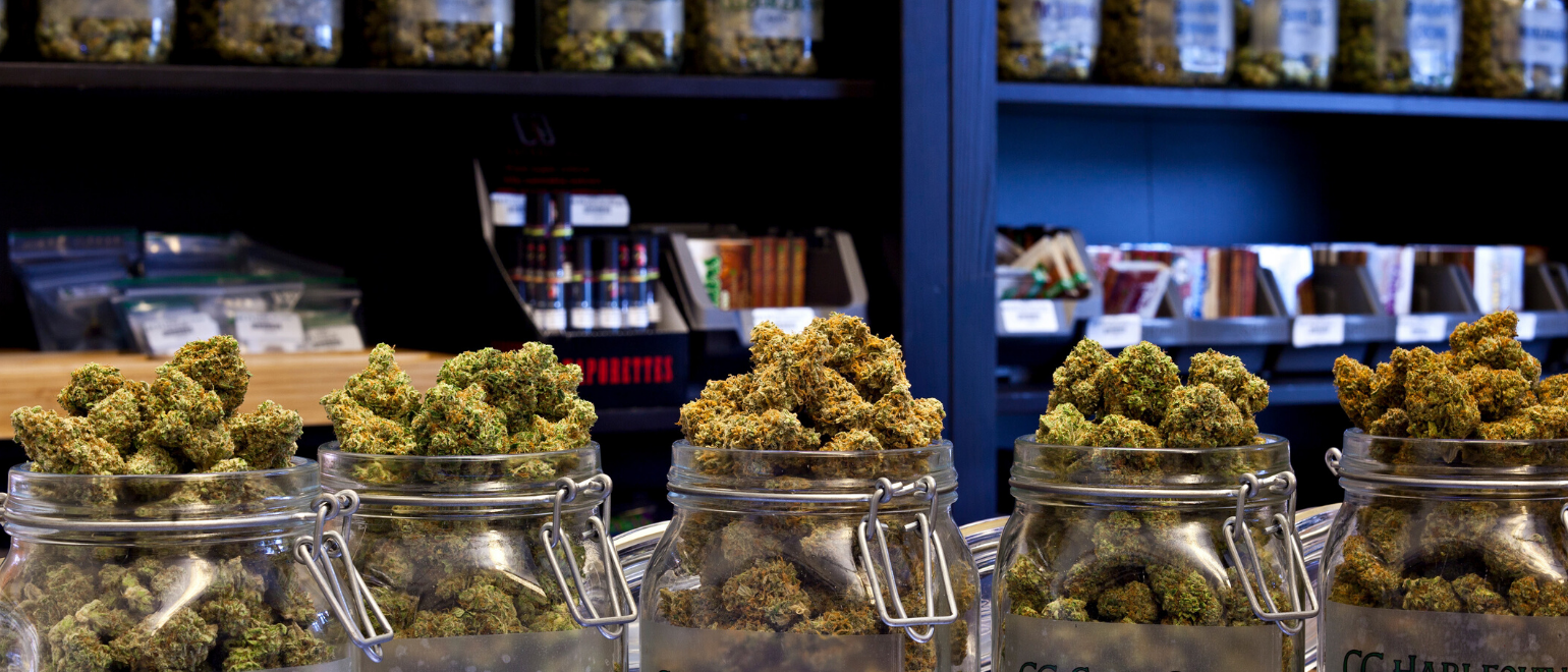Cannabis Image (4)